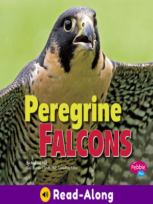 cover image of Peregrine Falcons